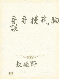 哥哥摸我胸的小说