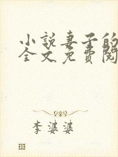 小说妻子的秘密全文免费阅读全文