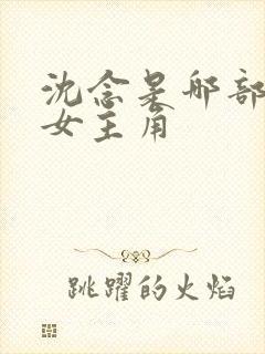 沈念是哪部小说女主角