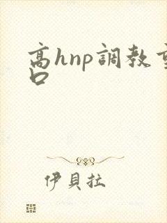 高hnp调教重口封面
