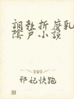 调教折磨乳头和阴户小说