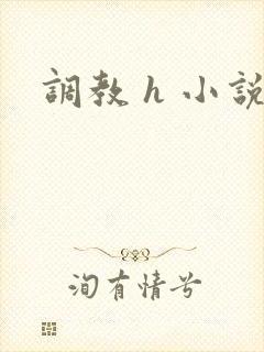 调教 h 小说
