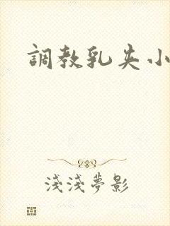 调教乳夹小说封面