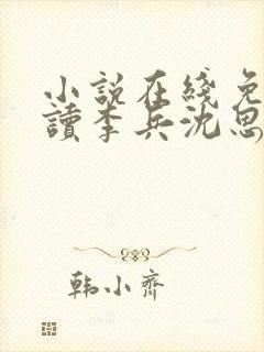 小说在线免费阅读李兵沈思封面