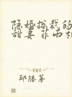 隐婚总裁的绯闻甜妻 菲雨初情