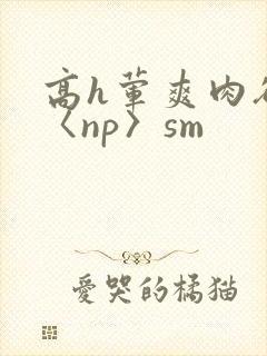 高h荤爽肉欲文〈np〉sm