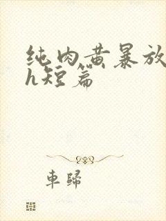 纯肉黄暴放荡高h短篇封面