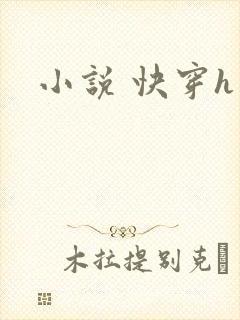 小说 快穿h