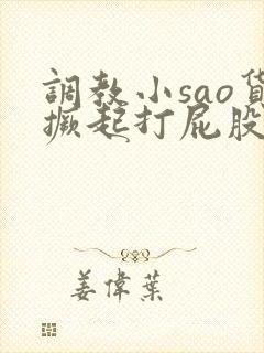 调教小sao货撅起打屁股小说封面