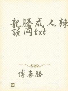 龙腾成人辣文小说网txt