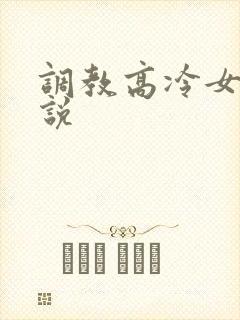 调教高冷女神小说封面