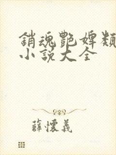 销魂艳婢类似的小说大全封面