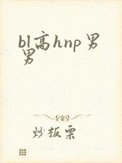 bl高hnp男男