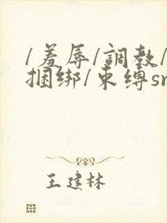 /羞辱/调教/捆绑/束缚sm封面