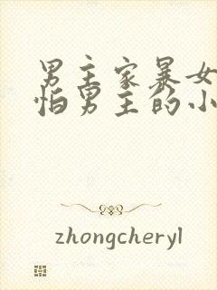 男主家暴女主很怕男主的小说