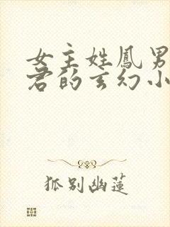 女主姓凤男主姓君的玄幻小说