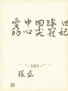 雪中回眸 四爷的心尖宠妃