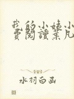 我的小姨小说免费阅读叶凡