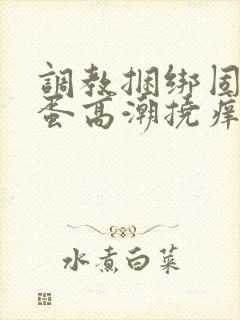 调教捆绑固定跳蛋高潮挠痒经历故事