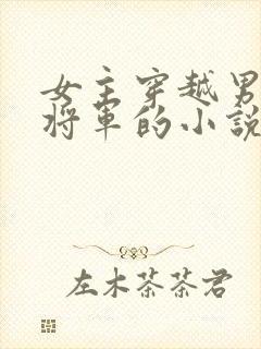 女主穿越男主是将军的小说封面