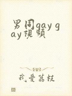 男同gay gay视频