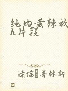 纯肉黄辣放荡高h片段