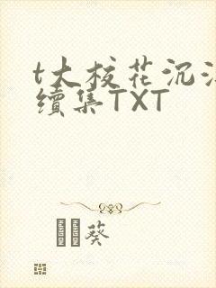 t大校花沉浮录续集TXT