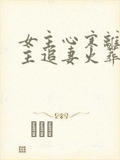 女主心寒离开男主追妻火葬场现言