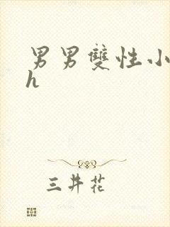 男男双性小说高h封面