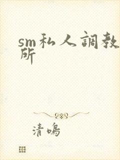 sm私人调教会所