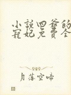 小说四爷的心尖宠妃免费全文阅读封面