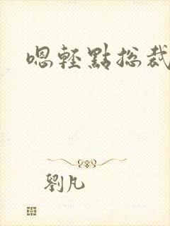 嗯轻点总裁小说