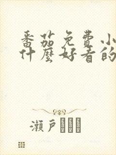 番茄免费小说有什么好看的小说