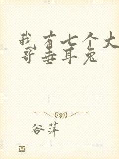 我有七个大佬哥哥垂耳兔封面