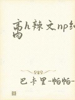 高h辣文np纯肉