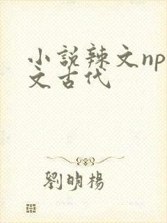 小说辣文np辣文古代封面