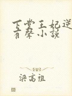 下堂王妃逆袭记有声小说