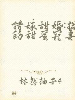 错嫁甜婚:总裁的甜蜜宠妻封面