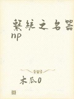 系统之名器攻略np