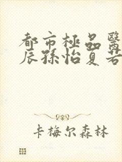 都市极品医神叶辰孙怡夏若雪txt无删减