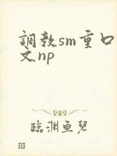 调教sm重口h文np