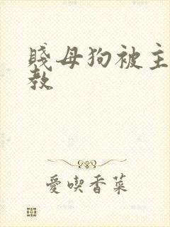 贱母狗被主人调教