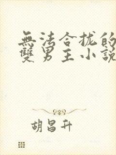 无法合拢的总裁双男主小说