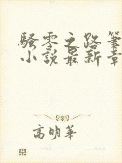 骚零之路笔趣阁小说最新章节更新封面