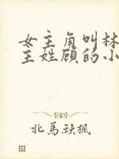 女主角叫林微男主姓顾的小说