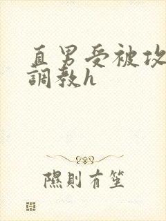 直男受被攻下药调教h封面