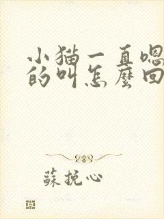 小猫一直嗯嗯嗯的叫怎么回事