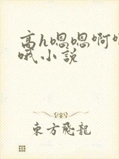 高h嗯嗯啊啊哦哦小说