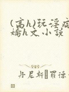 (高h)玩淫病娇h文小说