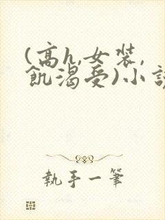 (高h,女装,饥渴受)小说